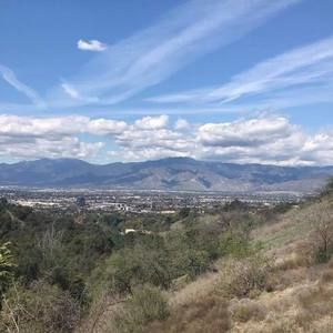 Meet your Posher, Maureen